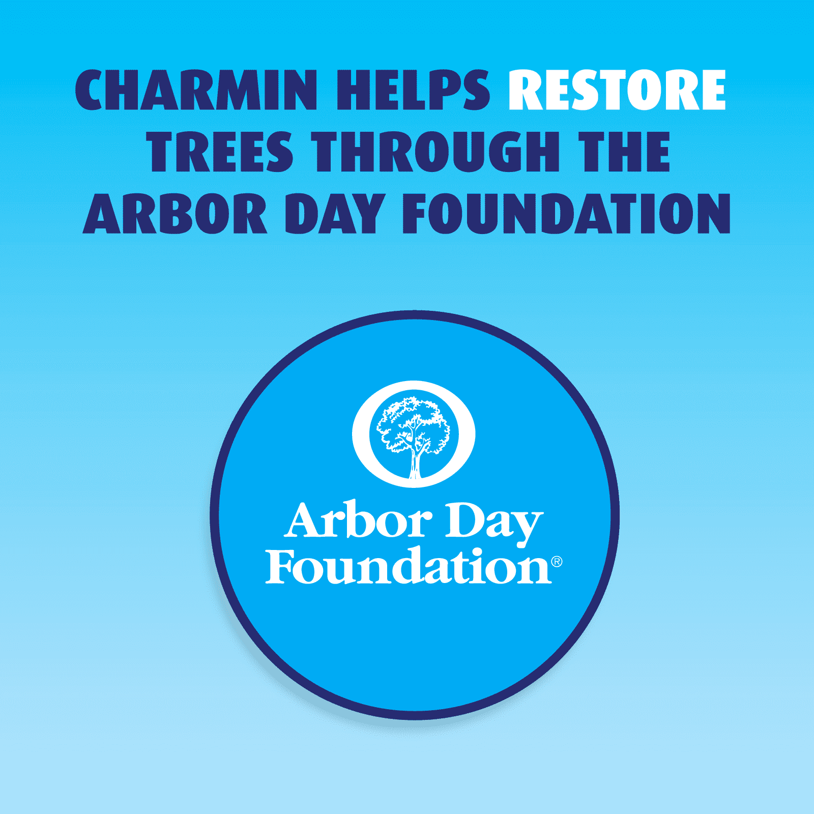 Charmin Ultra Strong Toilet Paper, 9 Mega Rolls - Image 7